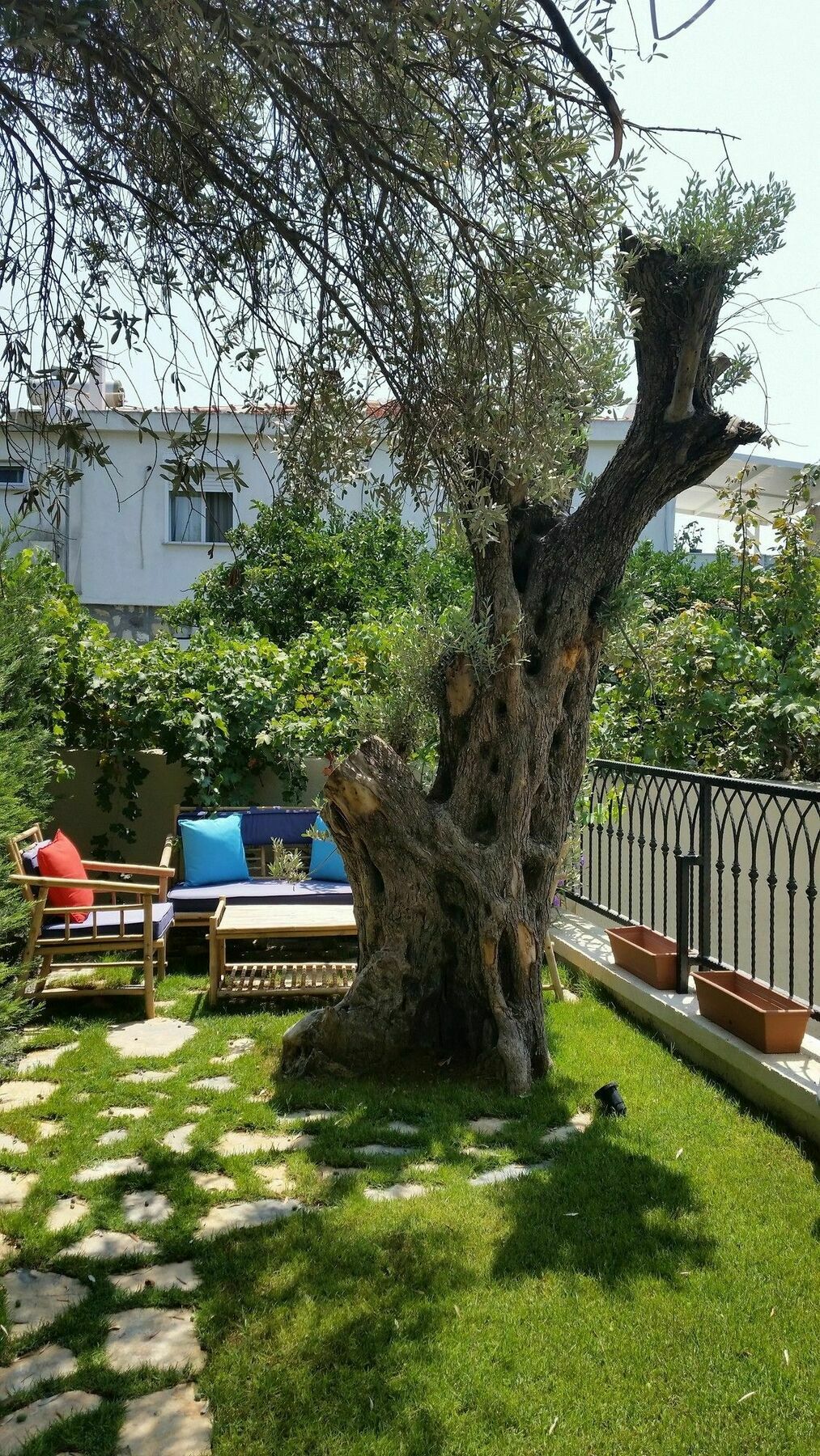 Cassiopeia Hotel Алакати Екстериор снимка
