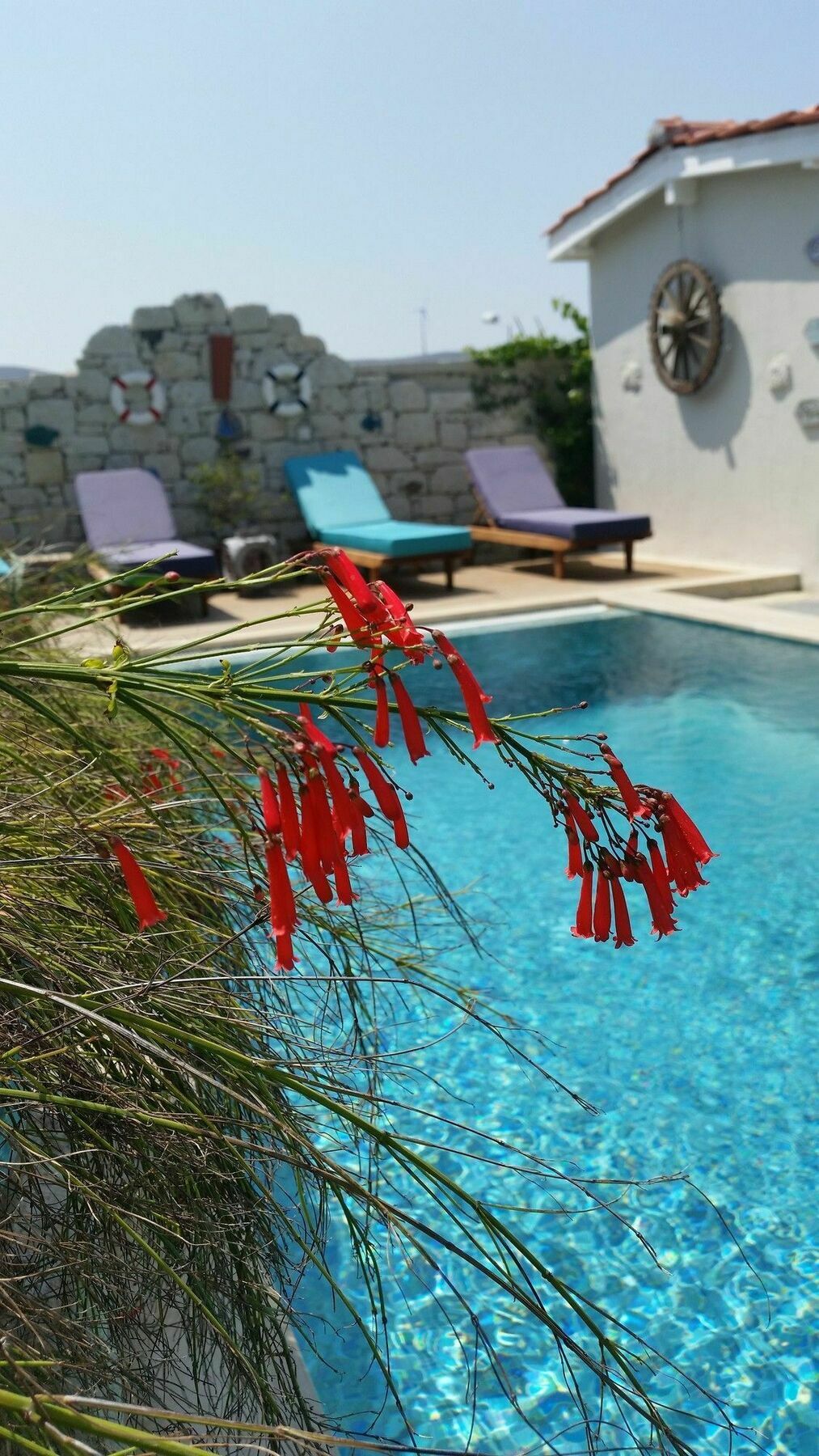 Cassiopeia Hotel Алакати Екстериор снимка